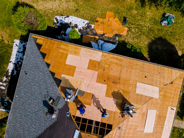 Best Roof Gutter Cleaning  in Evansburg, PA